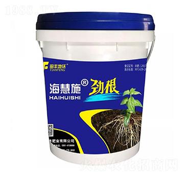 �Ÿ�-����ʩ-���S����