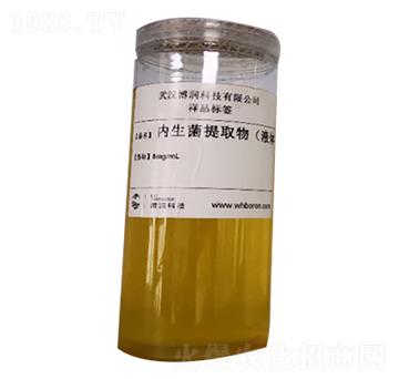 植物內(nèi)生菌提取物（液體）-博潤(rùn)科技