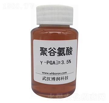 聚谷氨酸γ-PGA-博潤(rùn)科技