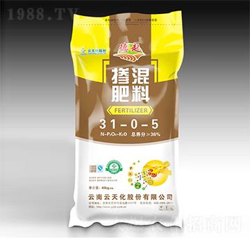 ���׷�����31-0-5-����-���o����