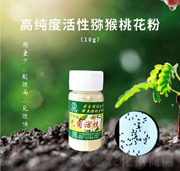 �J���ҟo�����Ի���-������-��������