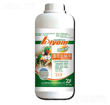 �ز��}�A��-��������