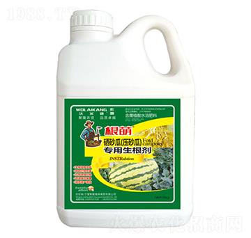 ������ɰ�ό���������-��������