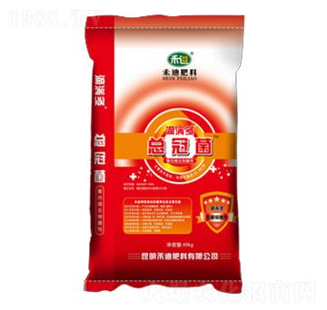 ���ھ�-�ΝM��-�̵�