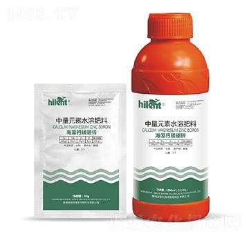 �����}�V���\-���{��