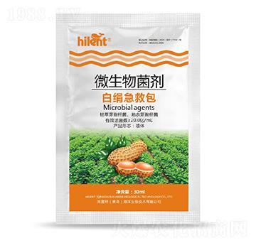 ΢�������-�׽����Ȱ�-���{��