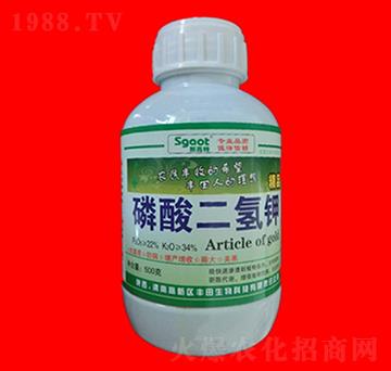 ��������-˹����-���R�ʘI(y��)