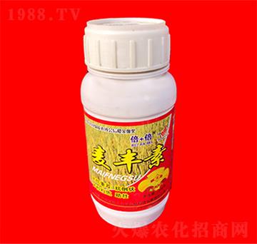 ���S��-���ӱ�-���R�ʘI(y��)