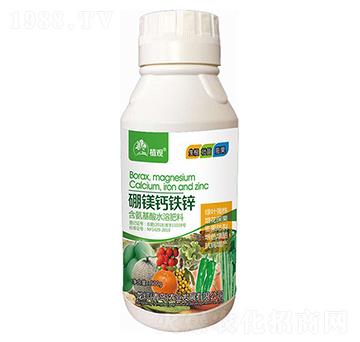 ���V�}�F�\-ֲ�^-�����r(n��ng)�I(y��)