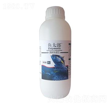 ø���~����-�~̫��-������