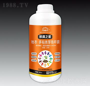 ���¡���ճ�ѿ�ߗU��-����֮��-�f���t