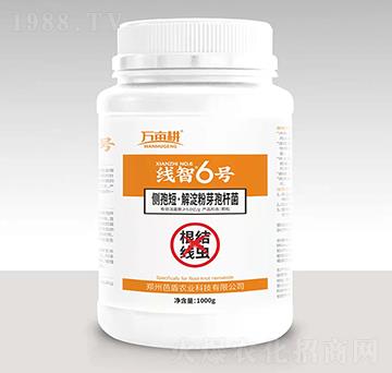 ���Y(ji��)���x(ch��ng)����-����6̖(h��o)-��ķ������