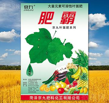 �ʰ�-����