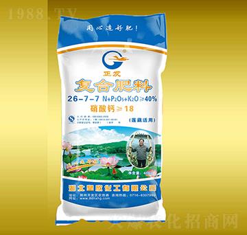 �ͺϷ���26-7-7-����