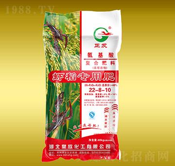 �r�����ÏͺϷ���20-8-10-����