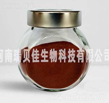 �����������F-��ؐ������