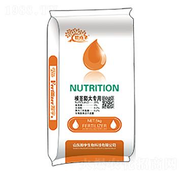 ���o�����-�������