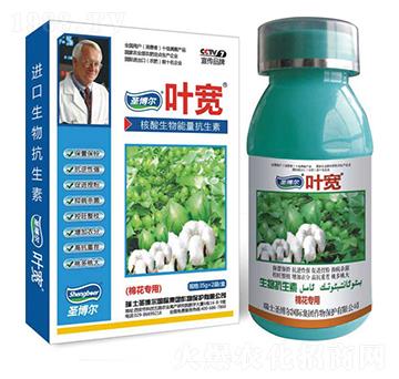 �޻������~���-��������ø�T����-�~��-ʥ��������