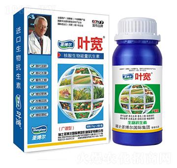 �V�V�����~���-��������ø�T����-�~��-ʥ��������