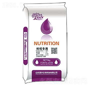 �̽ی�(zhu��n)��-�������