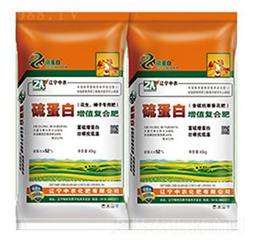 �򵰰����|�ͺϷ�-���r����