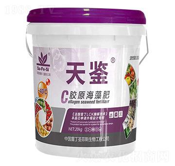 �zԭ�����-���b-ʥ��˹