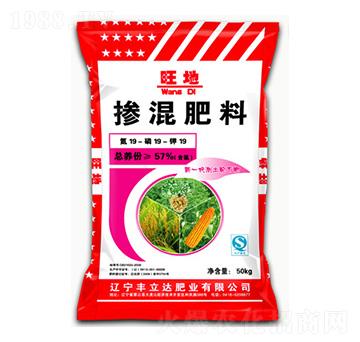 �������19-19-19-����-�S���_(d��)