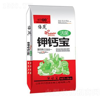 �����}��-�A�����Z