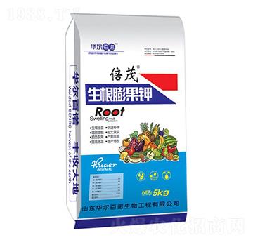 ��������-�A�����Z