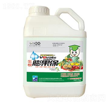 ���������-�A�����Z