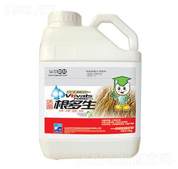 ���������-�A�����Z