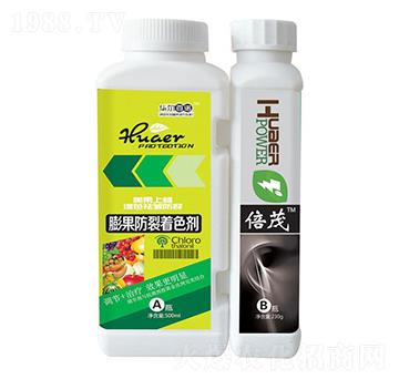 ���������ɫ+��ï-�A�����Z