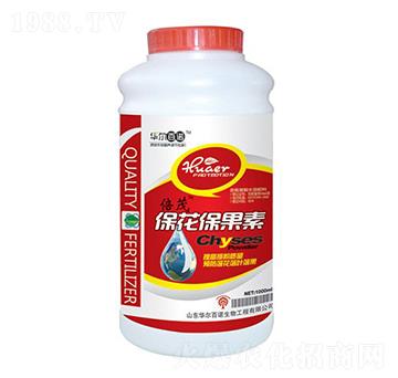 ����������-�A�����Z