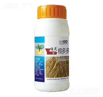 ������~���-�A�����Z