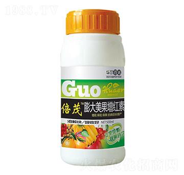 ����������t��-�A�����Z