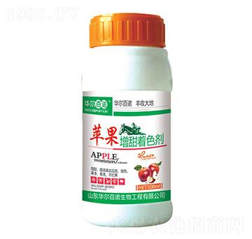 �O��������ɫ��-�A�����Z