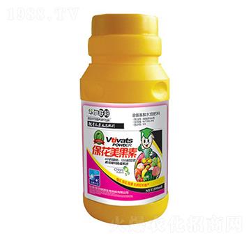 ����������-�A�����Z