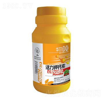 ������}��-�A�����Z