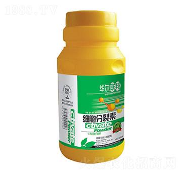 ����������-�A�����Z