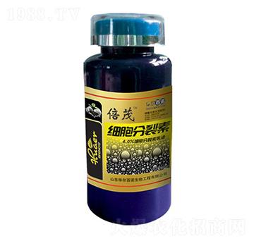 200g����������-�A�����Z