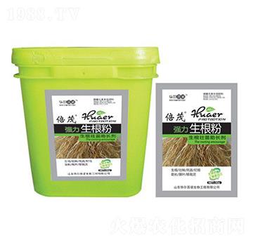 ����������-�A�����Z