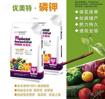 ��(y��u)���ء����-��(y��u)����