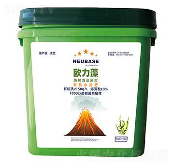 ø�⺣��ԭ�{-�W����-����}