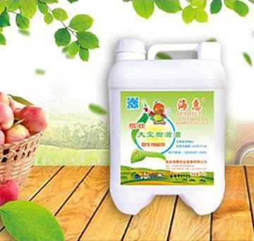 ���Ѵ�������΢�������-����