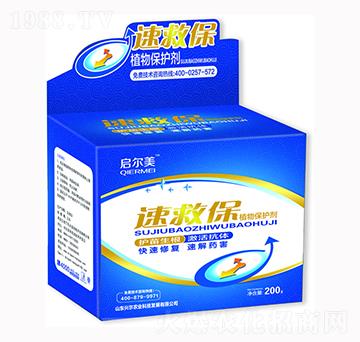 �پȱ�ֲ�ﱣ�o��-�d���r(n��ng)�I(y��)