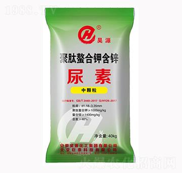 ��������⛺��\����-�Դ����