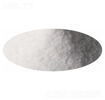 �Ȼ��-�P�����d