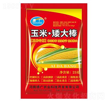 玉米·矮大棒-德廣-三川豫龍