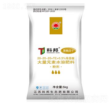 平衡型聚酶因子大量元素水溶肥-科邦生態(tài)