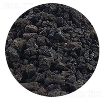 �S������w��-�𺣵|